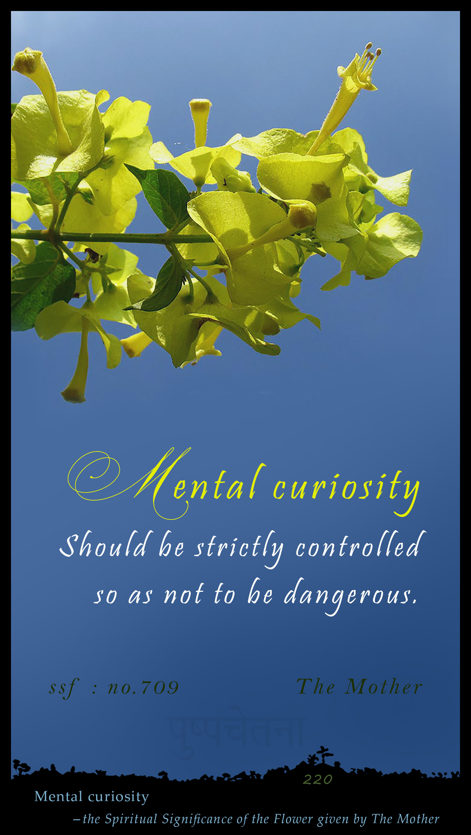 Mental Curiosity